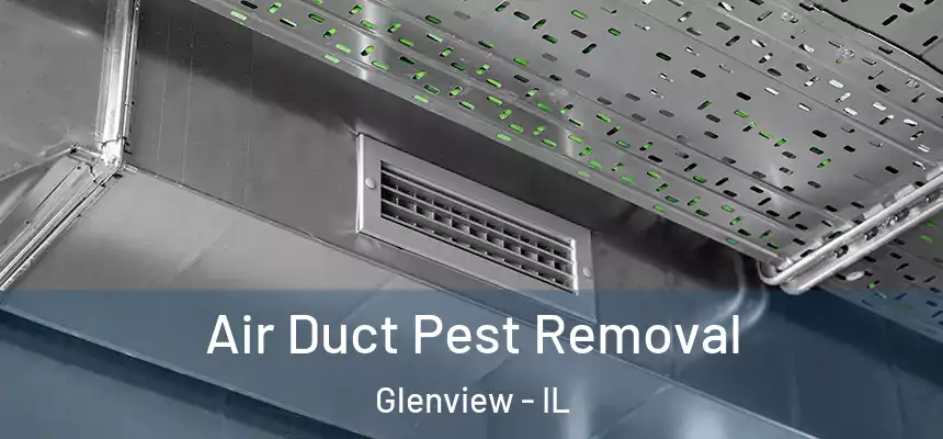  Air Duct Pest Removal Glenview - IL