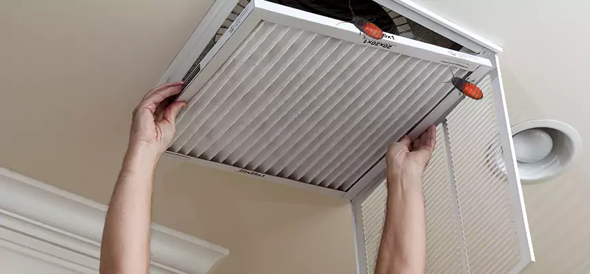 Preventive Cockroach-Proofing for Ducts in Glenview
