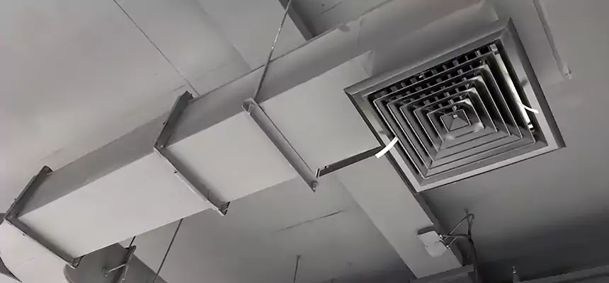 Restorative Allergy Relief Vent Cleaning – Coil, Blower & Housing Detail in Glenview