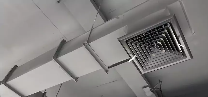 Our Rodent Droppings In Vents Services in Glenview, IL