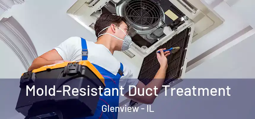  Mold-Resistant Duct Treatment Glenview - IL