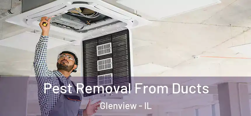  Pest Removal From Ducts Glenview - IL