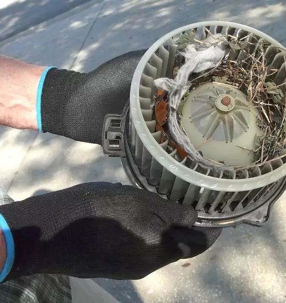 About Air Duct Mice Removal in Glenview, IL