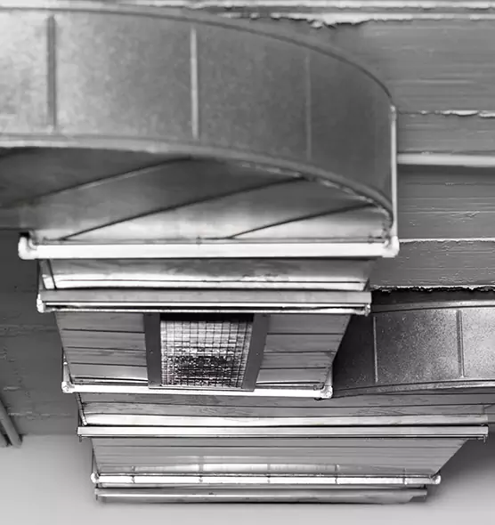 Professional Air Duct Pet Hair Removal in Glenview, IL