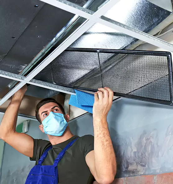Professional Air Duct Pollen Cleaning in Glenview, IL