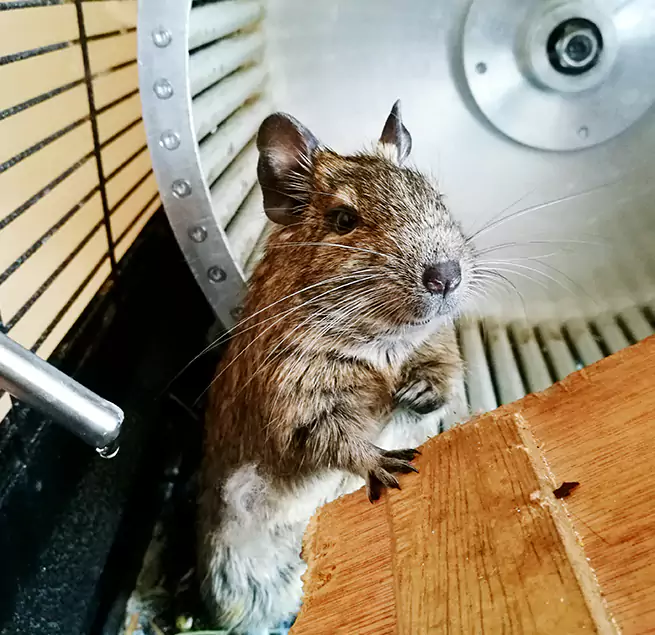 Why Homeowners & Businesses Trust Us Glenview, IL?