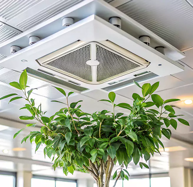 Why Homeowners & Businesses Trust Us in Glenview, IL?