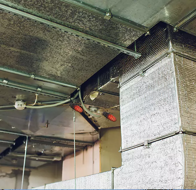 Why Homeowners & Businesses Trust Us Glenview, IL?